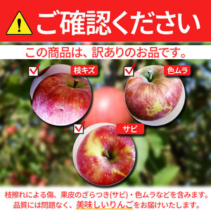 【2025年9月限定先行予約】 ヤマモ農園 訳あり リンゴ満喫おまかせセット 約 5kg | 果物 フルーツ 果実 りんご 林檎 リンゴ 長野県 松川村 信州