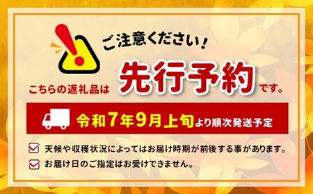【2025年9月限定先行予約】 ヤマモ農園 訳あり リンゴ満喫おまかせセット 約 5kg | 果物 フルーツ 果実 りんご 林檎 リンゴ 長野県 松川村 信州