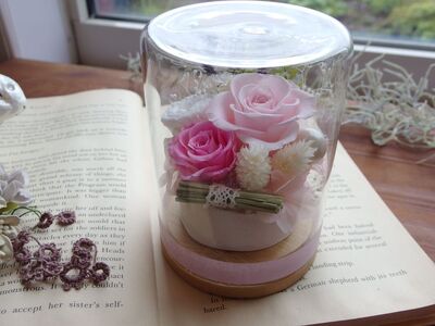 ピンクローズ:ガラスドームアレンジ ｜ 雑貨 日用品 インテリア ギフト 花 苗木 プリザーブドフラワー ガラスドーム ガーデンローズナナ バラ ミニバラ アジサイ カスミソウ ティーツリー ラベンダー 長野県 松川村 信州 誕生日 ご褒美