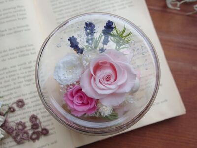 ピンクローズ:ガラスドームアレンジ ｜ 雑貨 日用品 インテリア ギフト 花 苗木 プリザーブドフラワー ガラスドーム ガーデンローズナナ バラ ミニバラ アジサイ カスミソウ ティーツリー ラベンダー 長野県 松川村 信州 誕生日 ご褒美