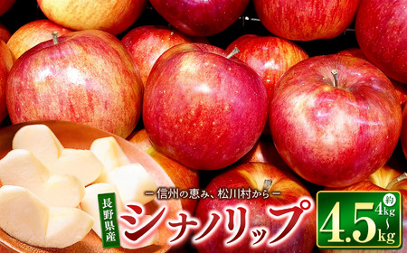 【2026年先行予約】シナノリップ　4～４.5㎏ ｜東印平林農園 リンゴ りんご 林檎 果物 くだもの フルーツ 果実 果汁 シナノリップ エコファーマー 長野県 松川村 信州