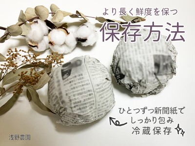 シナノホッペ 約3kg 【2026年先行予約】 | 浅野農園