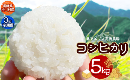 【令和7年度産 定期便3回】北アルプス高橋農園のコシヒカリ5kg | 米 お米 こめ コシヒカリ こしひかり 白米 精米 定期便 長野県 松川村 栽培期間中農薬不使用 地域おこし 北アルプス 信州