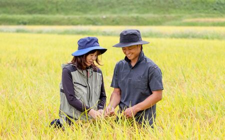 【令和7年度産】コシヒカリ 慣行栽培米 5kg | 茅野農園