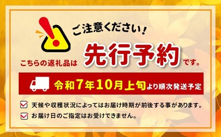 *【2025年先行予約】 ヤマモ農園 訳あり シナノスイート約5kg | 果物 フルーツ 果実 りんご 林檎 リンゴ シナノスイート 長野県 松川村 信州