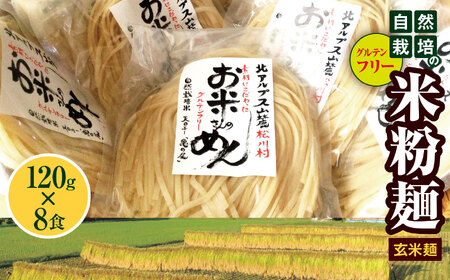 グルテンフリ— 自然栽培の 米粉麺 （ 玄米麺 ）120g× 8食 ｜麺 めん 米粉 米粉麺 米粉めん グルテンフリー お米のめん 半生麺 長野県 松川村