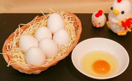 *かすてらハーフサイズ3本セット箱入 | カステラ かすてら 洋菓子 セット 詰め合わせ お菓子 おやつ 長野県 松川村 信州