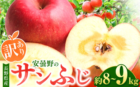 【2025年先行予約】訳あり サンふじ 約8～9kg ｜ 東印平林農園 リンゴ りんご 林檎 果物 フルーツ 果実 果汁 サンふじ さんふじ わけあり 訳アリ 長野県 松川村 信州 安曇野