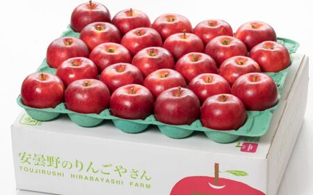 シナノピッコロ 約4~4.5kg 【2026年先行予約 】 |東印平林農園