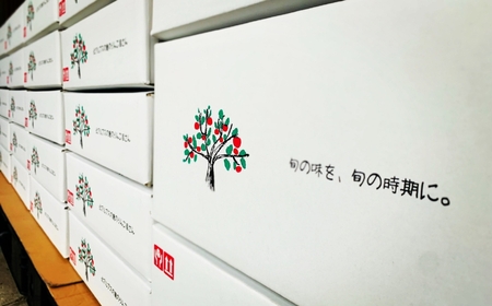 訳あり ぐんま名月 約 5kg｜ やまし平林農園