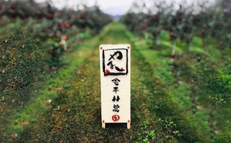 訳あり ぐんま名月 約 5kg｜ やまし平林農園