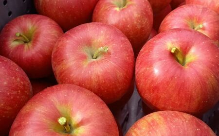 【2026年先行予約】シナノスイート 約5kg | マルヒラ農園