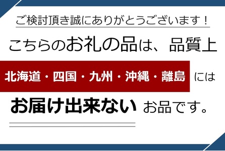 *セルリア 5号鉢 カルメン | 花 はな フラワー 苗木 ガーデニング 栽培 品種改良 ピンク 赤 オージープランツカルメン 長野県 松川村