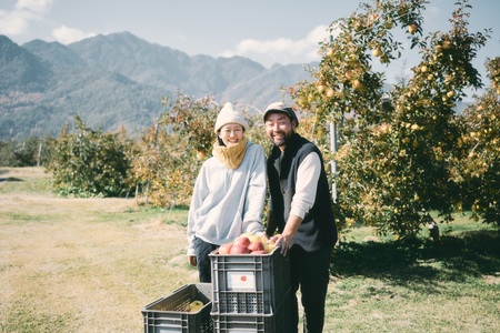 訳あり 家庭用 ぐんま名月 5kg 【2026年先行予約】 ｜ 山とりんご