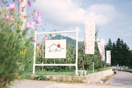 家庭用 シナノスイート 5kg 【2026年先行予約】 | 山とりんご