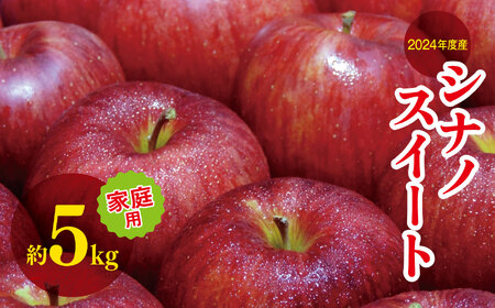 2024年度産 シナノスイート 家庭用 約 5kg ｜ リンゴ りんご 林檎 果物 フルーツ 果実 果汁 シナノスイート しなのすいーと 家庭用 わけあり 訳アリ 長野県 松川村