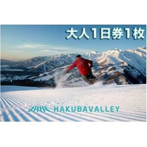 HAKUBA VALLEY 10 スキー場共通リフト券【大人1日券1枚】【1560073】