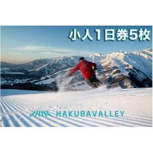 HAKUBA VALLEY 10 スキー場共通リフト券【小人1日券5枚】【1560082】 | 長野県白馬村 | ふるさと納税サイト「ふるなび」