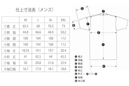 THE NORTH FACE「白馬三山 Tシャツ」メンズM ニュートープ【P0550496_M_M_NT】