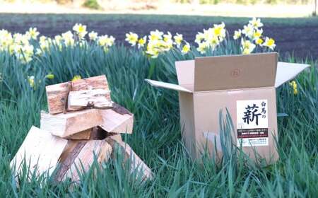 焚き火台にぴったり！使いやすいコロコロ薪 10kg　長野県白馬村/キャンプ　アウトドア　サウナ【N0050210】