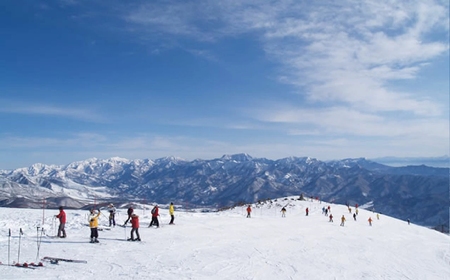 白馬八方尾根スキー場 大人シーズン券 B（18～39歳）/長野県白馬村 2025−2026 ゲレンデ スキー スノーボード リゾート 旅行 パウダースノー 北アルプス HAKUBA HAPPO-ONE おすすめ 人気 ウィンタースポーツ ギフト 贈答【L0210289】