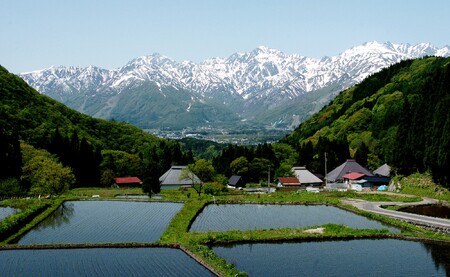 ＜3回定期便＞令和7年産 新米 ミルキークイーン 精米 10kg 白米 定期便
