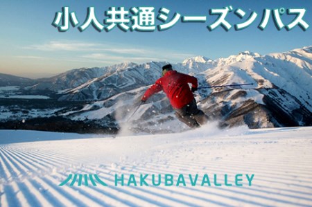 M300-03 HAKUBA VALLEY 9スキー場共通 こどもシーズンパス