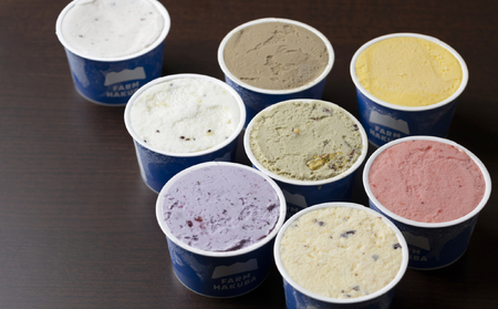 白馬農場の農場の野菜や果物を中心に手造りした本格ジェラート　おまかせ8個セット/長野県白馬村 【G0040184】