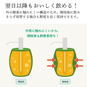 かんたん生樽！クラフトビール　HAKUBA CRAFT　Avalanche（IPA）３L