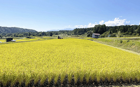 【令和7年度産】長野県小谷村百姓七人衆のあきたこまち 3kg