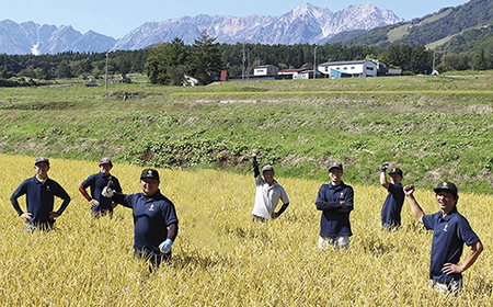 【令和7年度産】長野県小谷村百姓七人衆のあきたこまち【玄米】 3kg