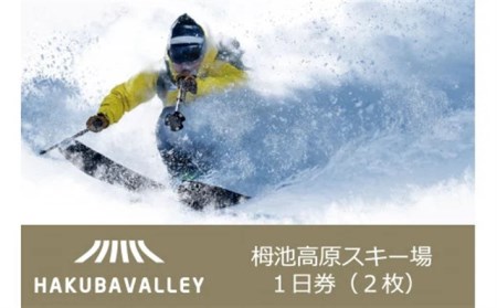 HAKUBA VALLEY 栂池高原スキー場リフト1日券（大人）2枚｜長野県小谷村