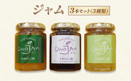 ジャム 3本セット（３種類） りんご ぶどう ラ・フランス 瓶 ギフト 長野 信州 坂城