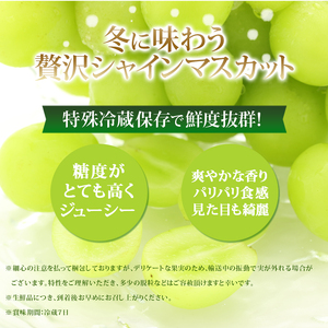 【11・12月発送】富山葡萄園の冷蔵シャインマスカット 2kg以上（3-4房）長野 信州 坂城 産地直送※配送不可エリアあり※ 果物類 ぶどう ブドウ フルーツ 