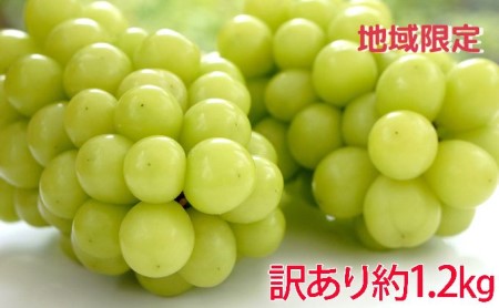 (地域・期間限定)訳あり柳澤果樹園のシャインマスカット約1.2kg