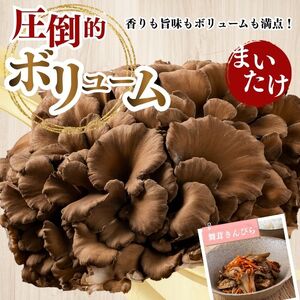 きのこ2種セット 計860g ジャンボまいたけ 500g なめこ 180g×2【北海道きのこ品評会 最優秀賞受賞】【遠藤農産】きのこ キノコ セット 詰め合わせ 舞茸 滑子 国産 北海道産 北海道 比布町 ぴっぷ 1002-001