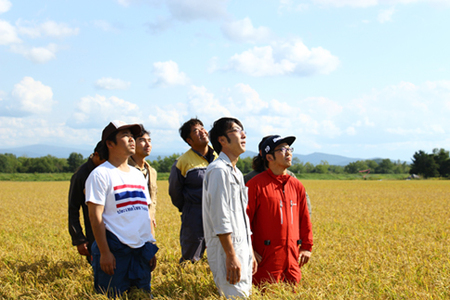 【新米予約】2024年産　ナナプラザ　特別栽培米ゆめぴりか　10kg
