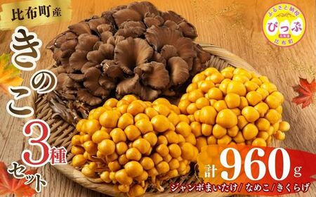 きのこ3種セット 計960g ジャンボまいたけ 500g なめこ 180g×2