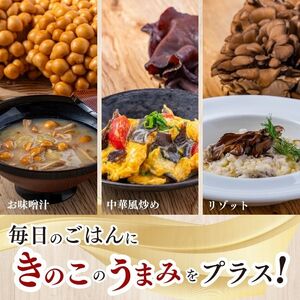 きのこ3種セット 計960g ジャンボまいたけ 500g なめこ 180g×2 きくらげ 100g【北海道きのこ品評会 最優秀賞受賞】【遠藤農産】きのこ キノコ セット 詰め合わせ 舞茸 滑子 木耳 国産 北海道産 北海道 比布町 ぴっぷ 1002-002