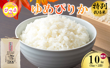 令和7年産 特別栽培米 ゆめぴりか 精米 10kg（5kg×2）【西間農園】米 お米 北海道産 北海道米 特Aランク 国産 白米 コメ JGAP認証農場 北海道 比布町 ぴっぷ 1005-042