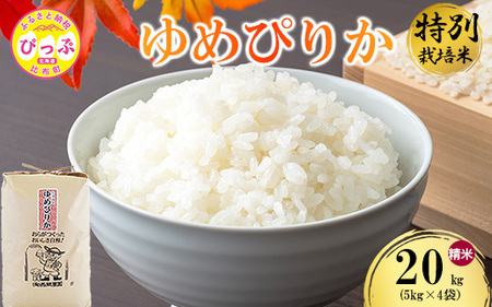 令和7年産 特別栽培米 ゆめぴりか 精米 20kg（5kg×4）【西間農園】米 お米 北海道産 北海道米 特Aランク 国産 白米 コメ JGAP認証農場 北海道 比布町 ぴっぷ 1005-043