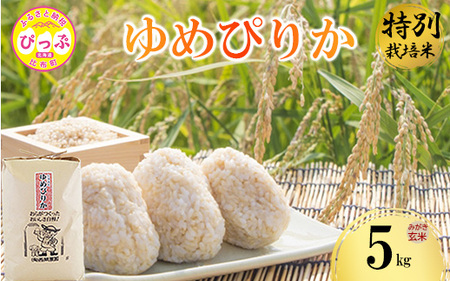 令和7年産 特別栽培米 ゆめぴりか みがき玄米 5kg【西間農園】玄米 お米 米 北海道産 北海道米 特Aランク 国産 コメ JGAP認証農場 北海道 比布町 ぴっぷ 1005-051