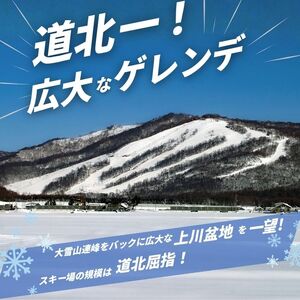 【2025～2026シーズン】ぴっぷスキー場 1日券【大人】1枚【比布町】スキー スノーボード スノボ 利用券 チケット 冬 北海道 比布町 ぴっぷ 1455-006