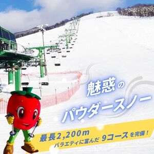 【2025～2026シーズン】ぴっぷスキー場 1日券【大人】1枚【比布町】スキー スノーボード スノボ 利用券 チケット 冬 北海道 比布町 ぴっぷ 1455-006