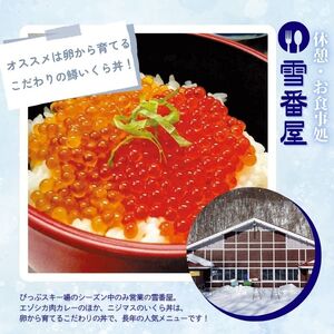 【2025～2026シーズン】ぴっぷスキー場 1日券【大人】1枚【比布町】スキー スノーボード スノボ 利用券 チケット 冬 北海道 比布町 ぴっぷ 1455-006