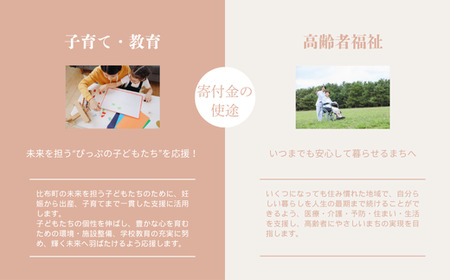 【返礼品なし】北海道比布町への寄付 1000円 1000 寄付のみ 返礼品無し 北海道 比布町 ぴっぷ 1455-101