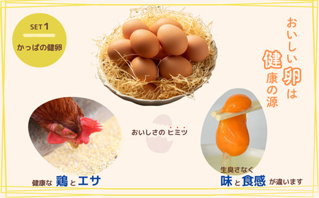 比布町たまごかけごはんセット（かっぱの健卵・ゆめぴりか・ぴっぷ小ねぎ醤油）【(株)荒尾】TKG 生卵 お米 米 醤油 しょうゆ 詰め合わせ 北海道 比布町 ぴっぷ 1011-001