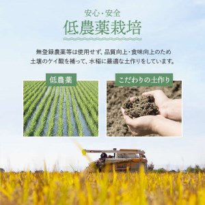 【新米予約】2024年産　久保農園　ゆめぴりか玄米　23㎏