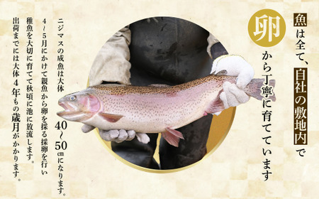 ぴっぷサーモン にじます 親子セット（イクラ80g×2・刺身用フィレ100g×3）【にじます工房】ニジマス 鱒 スライス ますいくら 鱒いくら イクラ いくら 魚卵 鱒卵 養殖 加工品 小分け 便利 北海道 比布町 ぴっぷ 1009-004