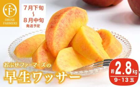 早生ワッサー 約2.8kg 9～13玉 ［おぶせファーマーズ］果物 フルーツ クール便 冷蔵便 長野県産 信州産  令和8年産【2026年7月下旬～8月中旬発送】